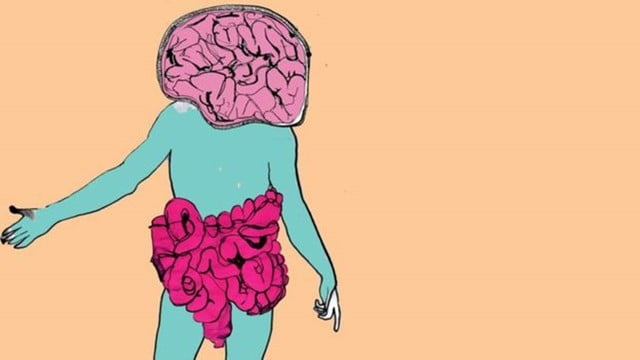 A maior parte do seu corpo não é humana – e é nova aposta de cientistas para vencer doenças