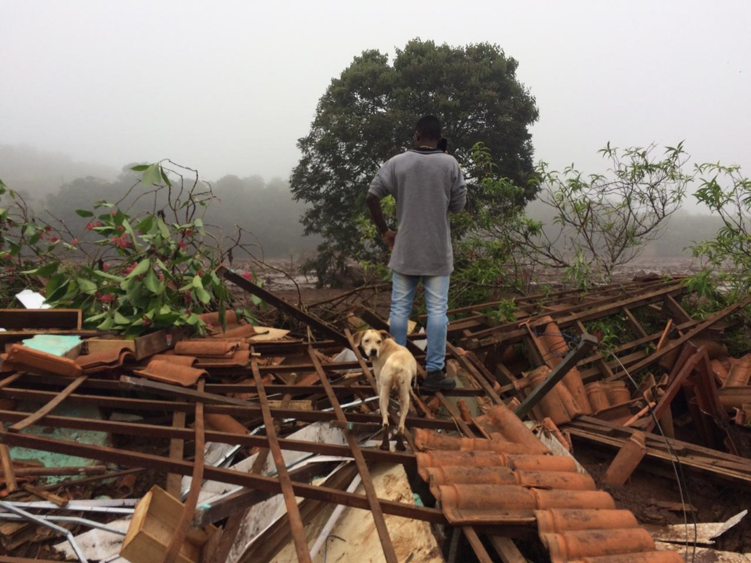Moradores de Brumadinho contam momentos de correria após sirene anunciar risco de rompimento de barragem