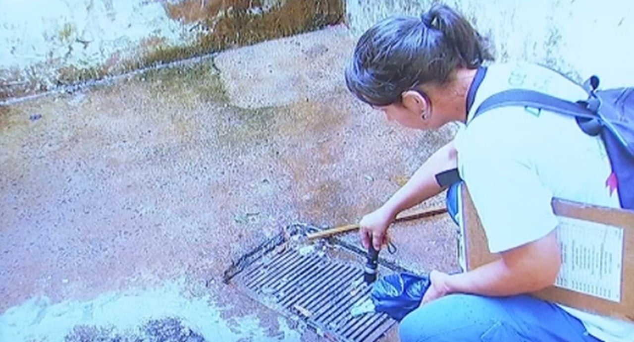 Secretaria de Saúde confirma terceira morte por dengue em Rio Preto