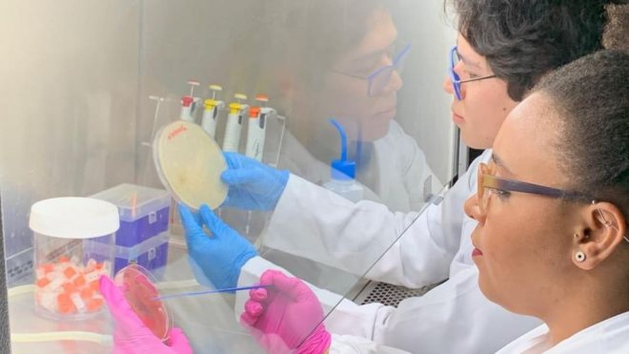 Campeã de infecções, bactéria multirresistente é detectada agora fora de hospitais no Brasil