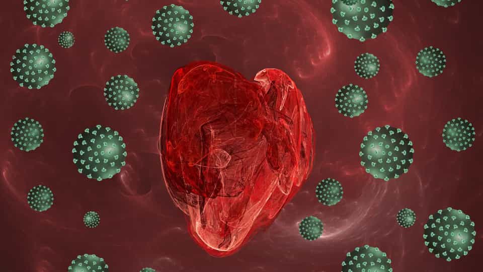 Coronavírus ataca, infecta e mata células musculares do coração