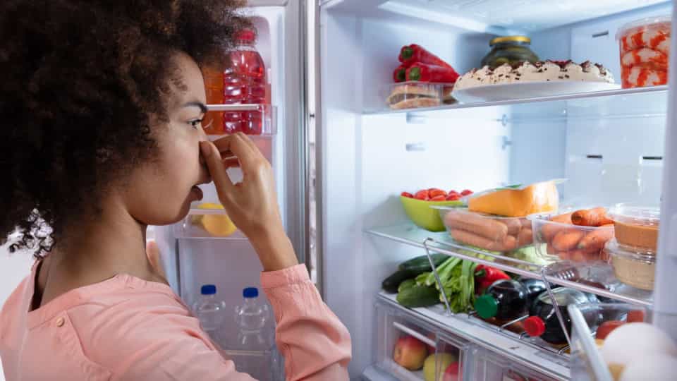 Mau cheiro na geladeira? Use aveia para acabar com o odor desagradável