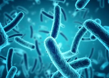 Mais de 200 milhões de mortes serão ligadas a bactérias super-resistentes até 2050