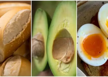 Cerveja é o pão líquido? Abacate engorda? Veja mitos e verdades